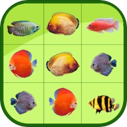 火狐体育下载app